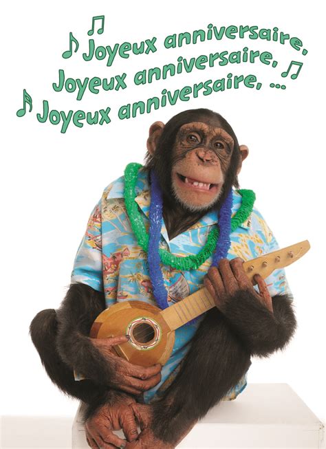 gif joyeux anniversaire humour pour femme|Texte joyeux anniversaire humour – rigolo joyeux anniversaire GIF